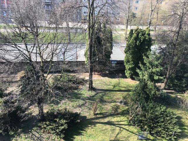 Apartament Gosia Nysa Exterior photo